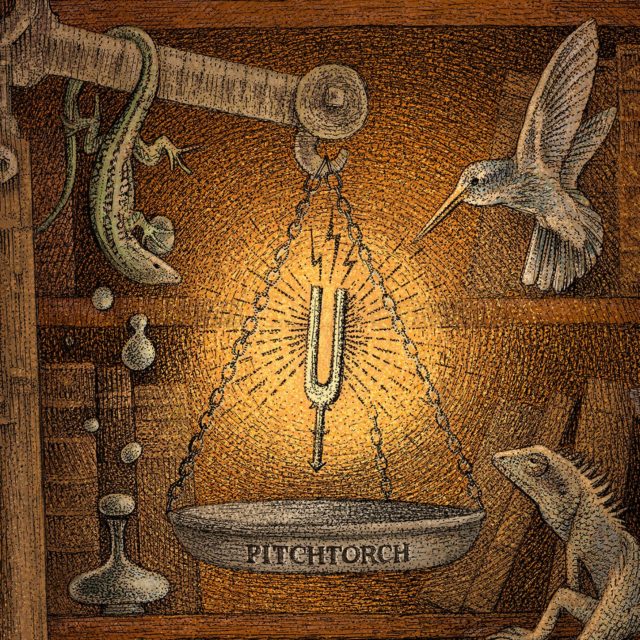 Pitchtorch (Self/IRD, 2019)